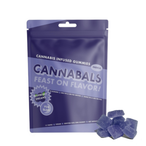 Blueberry Dreams (Fast Acting) | THC:CBN | 20pk | 100mg