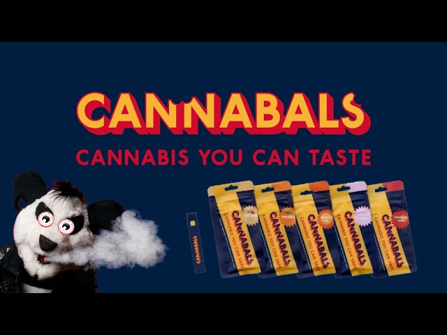 Mastering the First Impression: Your intriguing post title goes here sddefault.jpg